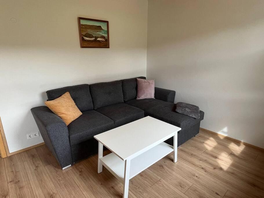 Black Valley Apartment Thoroddsstathir Экстерьер фото